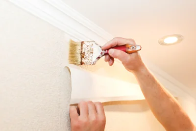 Pose de papier peint à Vizille — revêtements muraux et toiles de verre